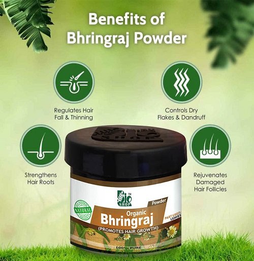 Organic Bhringraj Promotes Hair Growth Organic Bhringraj Promotes Hair Growth